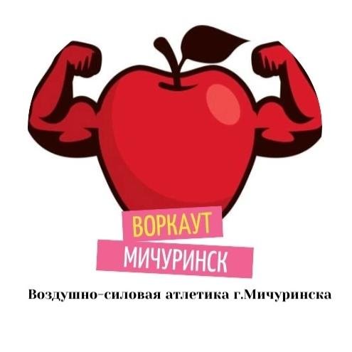 Organization logo Воркаут Мичуринск